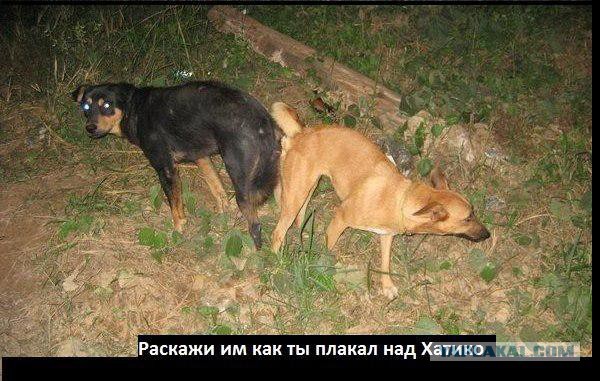 Секс-клинч.