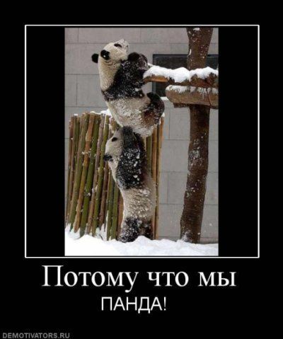 Веселые картинки