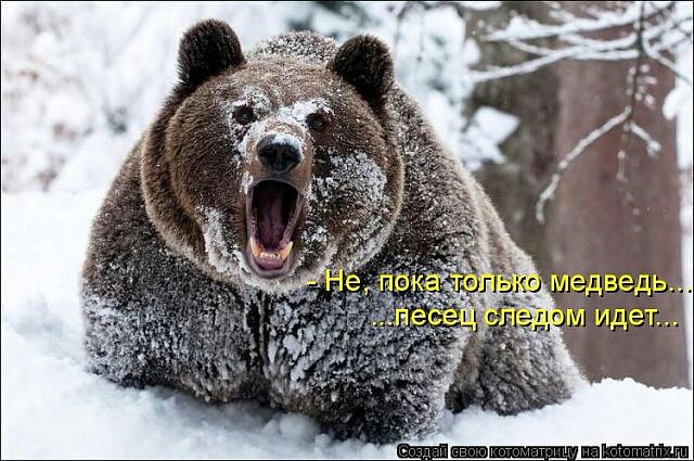 Для всепропальщикофф