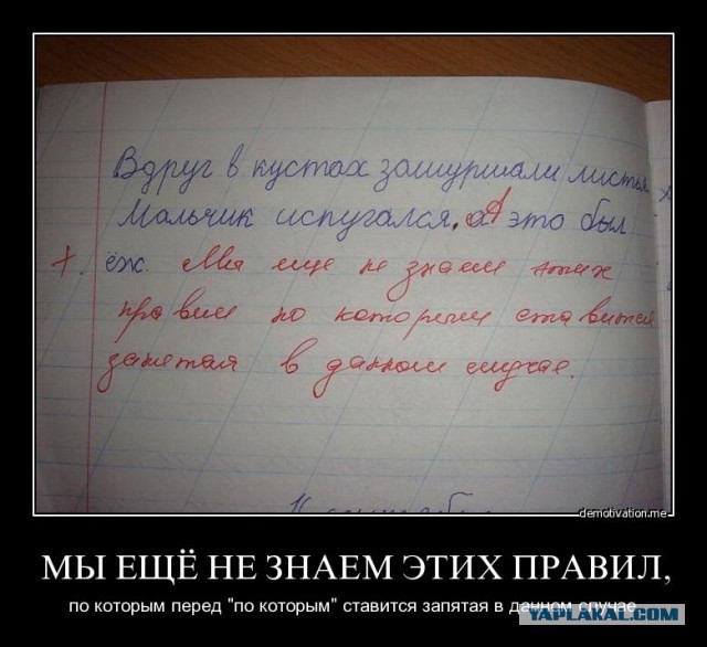 Об образовании в Канаде и домашней работе