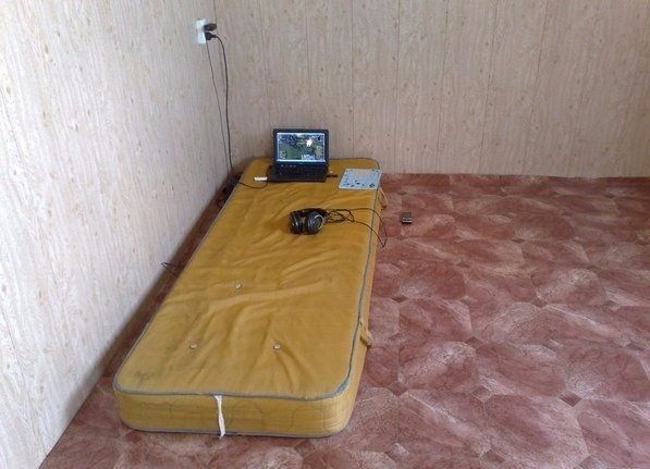 Веселости на пятницу