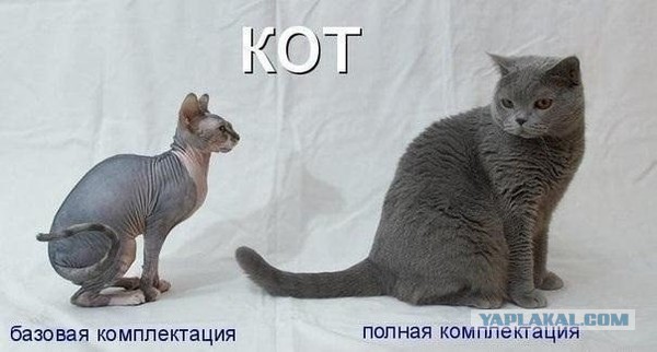Соцсети, опять.