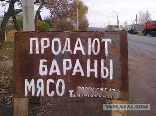Подборка баянов.