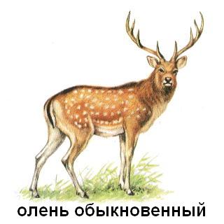 Подруга спалилась. Начало. Как это было
