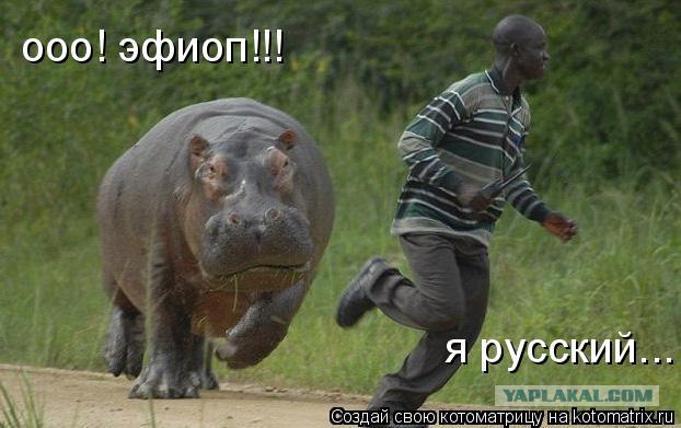 Цитаты из советских фильмов актуальны и сейчас