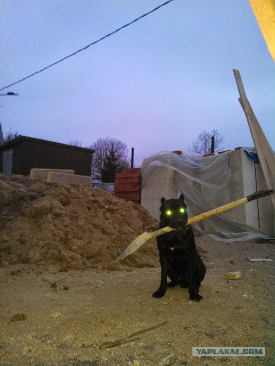 А вот моя домостройка