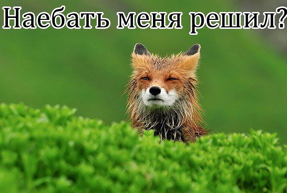 Понедельник день тяжёлый