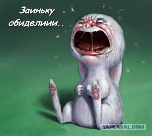 Top_lap обиделся на Яп