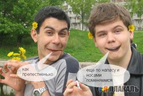 Фотожаба: Два голубка