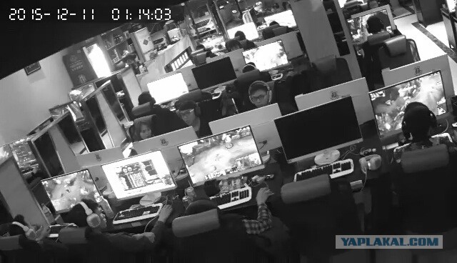 За что я люблю китайцев