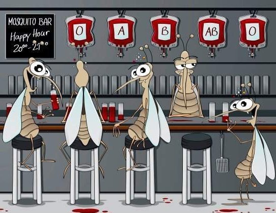 Картинки и гифки