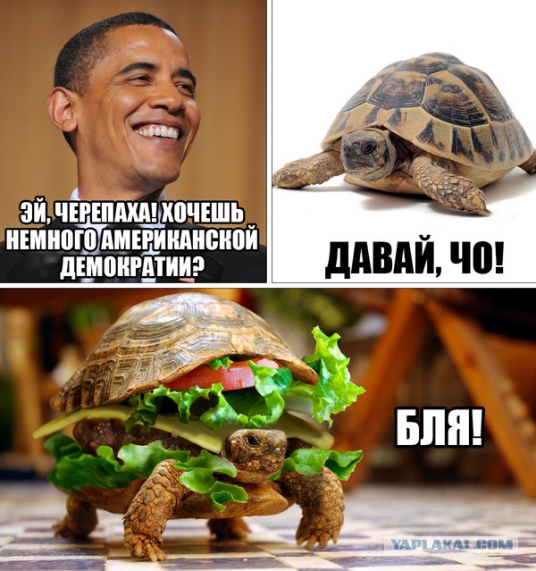 Легкой наркомании псто