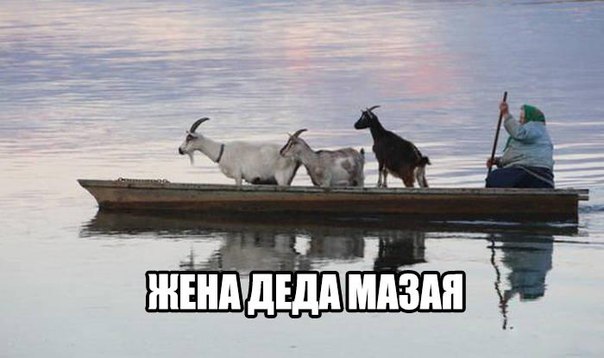 Картинки разные 2