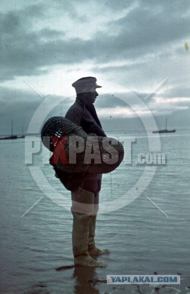 Украина 1942 год