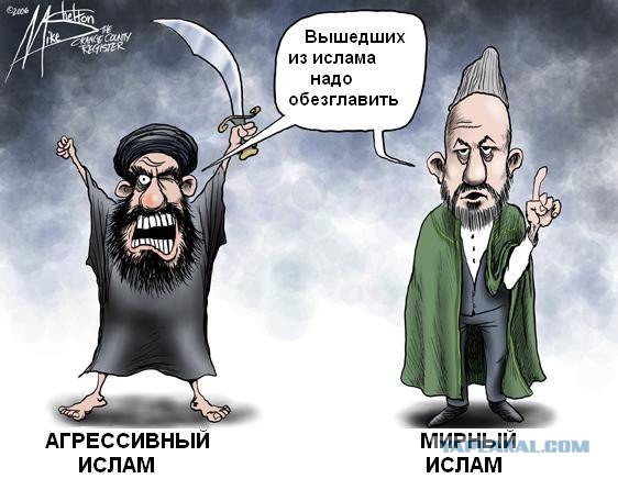 Госдума с подачи Чечни запретит, называть террористов исламскими