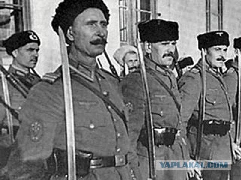 Очередной беспредел выходцев с Кавказа. СМИ молчат