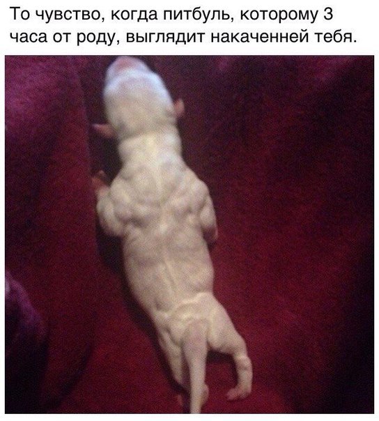 Подборка картинок на среду