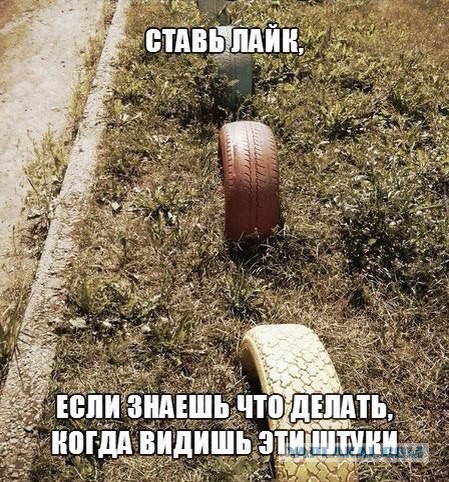 Подборка картинок