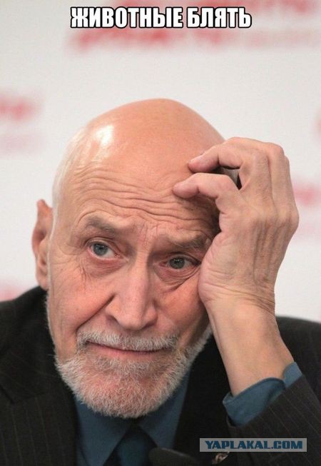 "Ты, дядя, не знаешь, с кем связался!" ЧАСТЬ 2