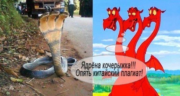 Подборка интересных и смешных картинок