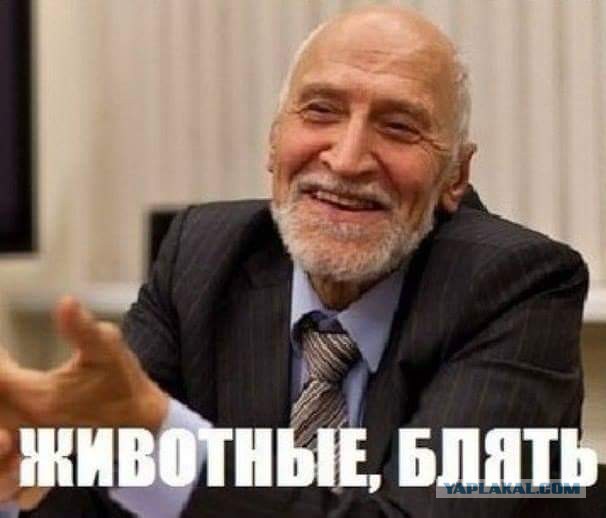 ЧЕ-2016 - финальный раунд. Часть V. Россия — Уэльс