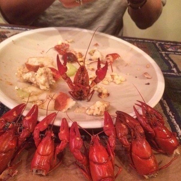 Картинки и приколы из сети