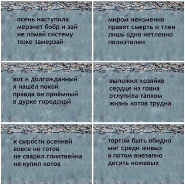 Смешные картинки с надписями