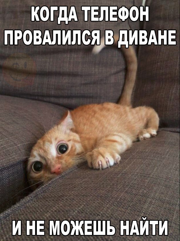 Разные картинки из сети