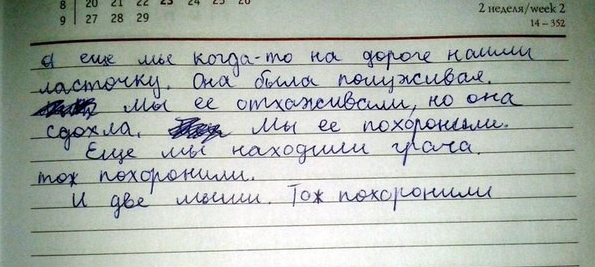 забавные комментарии и диалоги