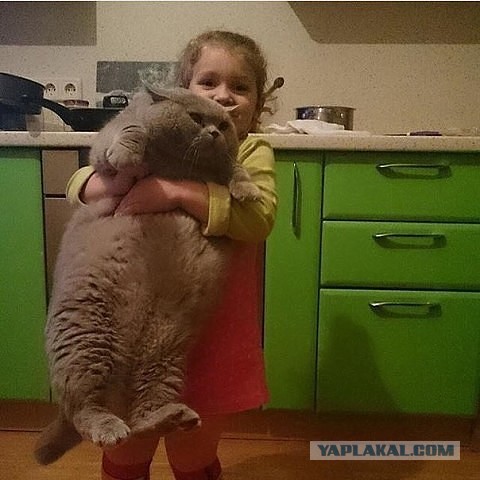 Малыши
