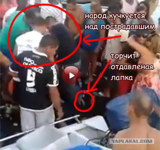 А все так весело начиналось