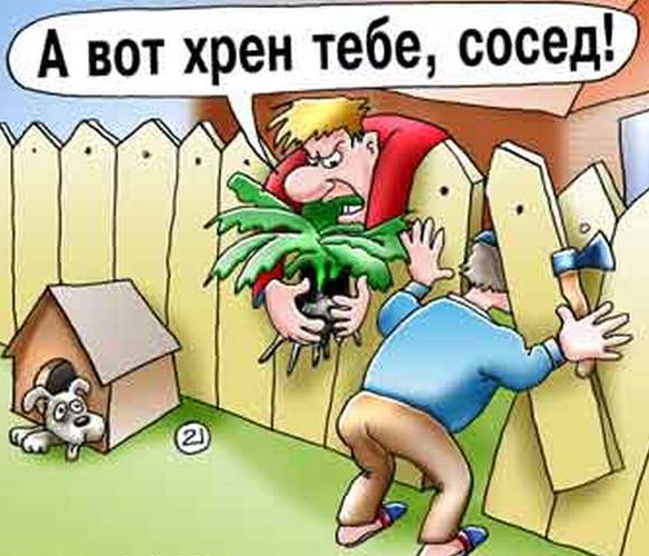 Слишком дружелюбные соседи.