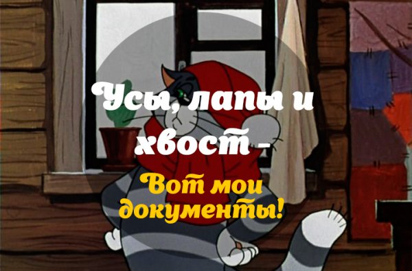 Регистрация домашних животных станет платной и обязательной