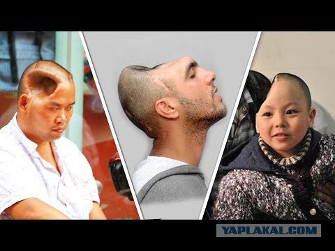 Звучит, как тост!
