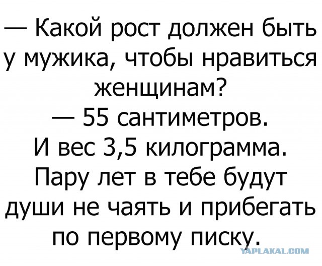 Смешные комментарии из социальных сетей 06.07.2018
