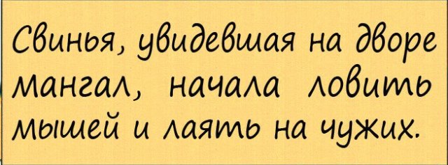 Подборка интересных и веселых картинок 14.08.18