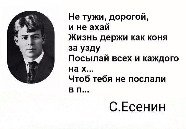 Немного картинок в эту среду