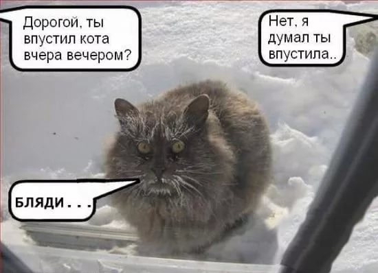 Чутка веселухи