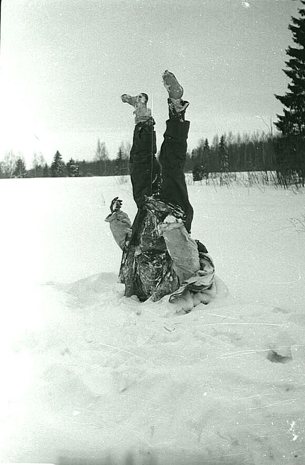 История 20 века в фотографиях