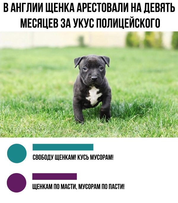 Немного юмора из этих ваших соцсетей