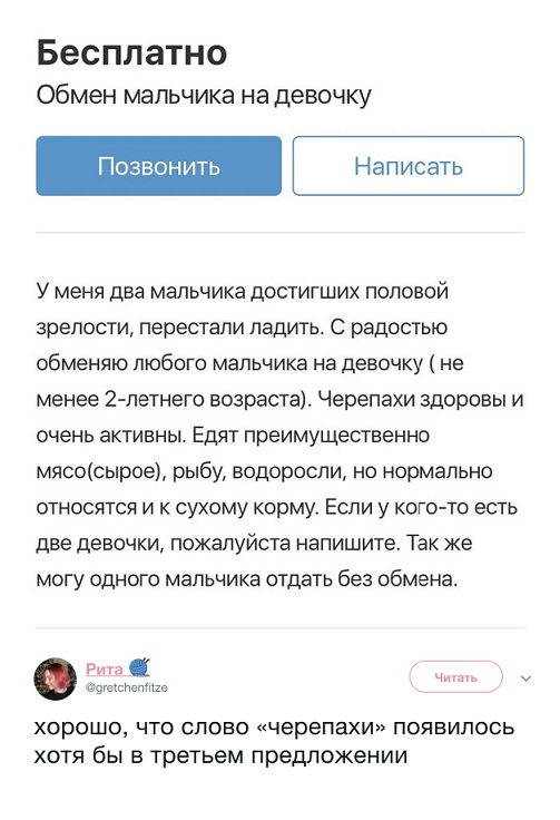 Прикольные комментарии и высказывания из Сети