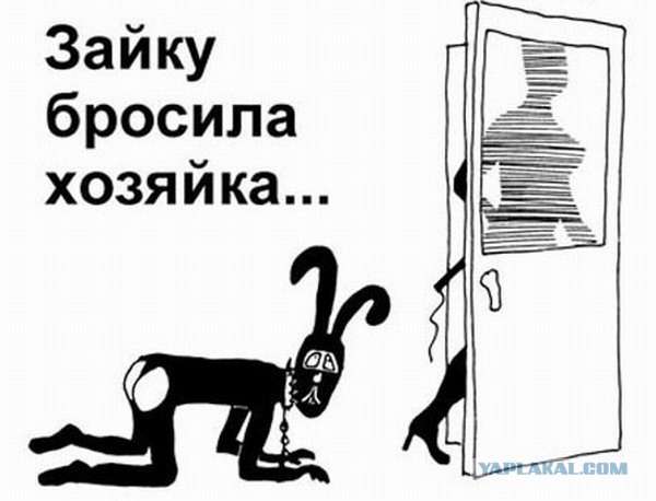Как мне надоела эта замужняя жизнь!
