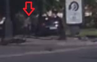 Байкер решил, что ему можно все! Но коробка разбила его мечты в шлеме