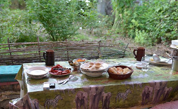 Дачная юшка на берегу Днепра