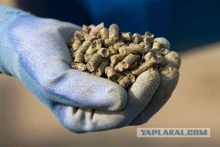 Кремация или почему в России принято умирать не по средствам