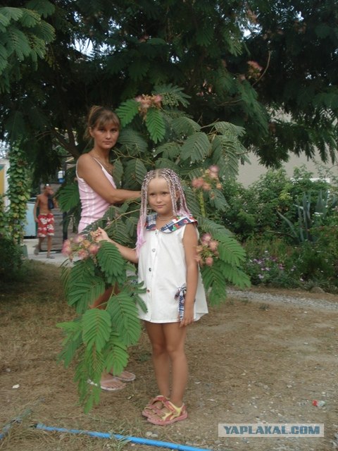 Мисс ЯП - 2012