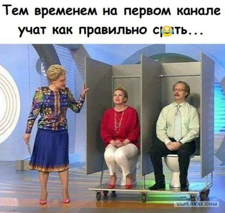 13514347.jpg