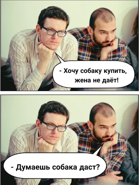 Немного картинок для настроения!
