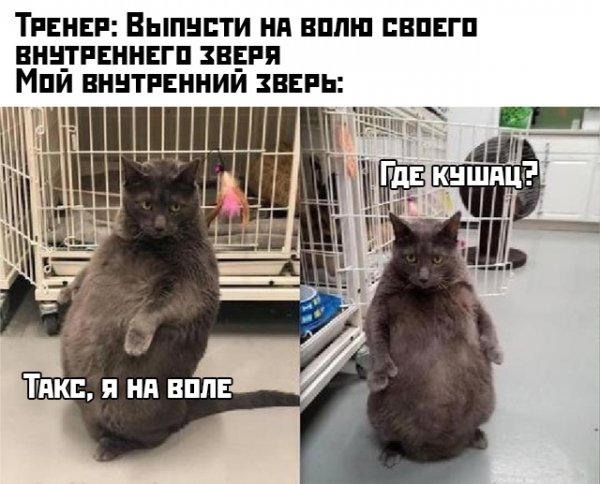 Прикольные картинки абавсём
