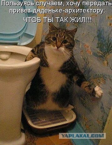 Нифинасебе! И другие выражения лиц
